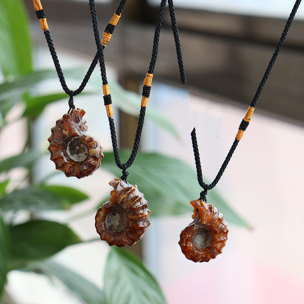 Collection de colliers fossiles de conque suspendus