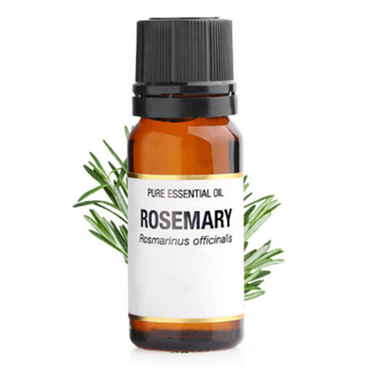 Rosmarin Ätherisches Öl 10 ml: Kontrolliere den Talgüberschuss und Verfeinere die Poren für eine ausgeglichene Haut ✨