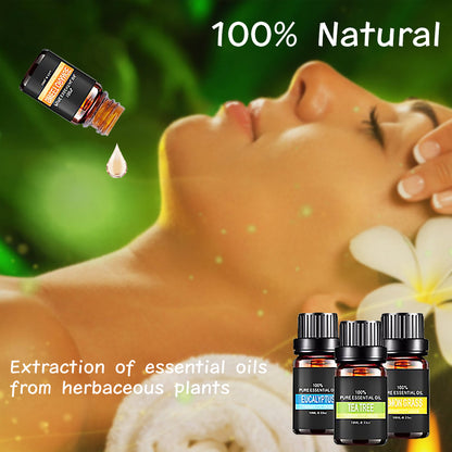 Set mit ätherischen Bio-Ölen – Das perfekte Geschenk für ein umfassendes Aromatherapie-Erlebnis!
