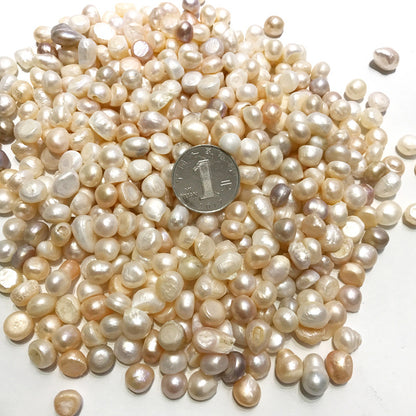 Granulés naturels en pierre concassée de perle - Une touche d'élégance naturelle !