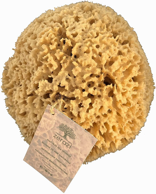 Zerazi | Esponja de mar natural | 17-18cm | Higiénica | De cultivo responsable, Marrón,...