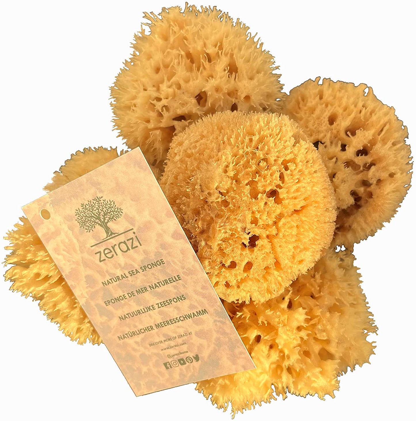 Zerazi | Natural Sea Sponge | 15-16cm | Hygienic | From responsible culture...